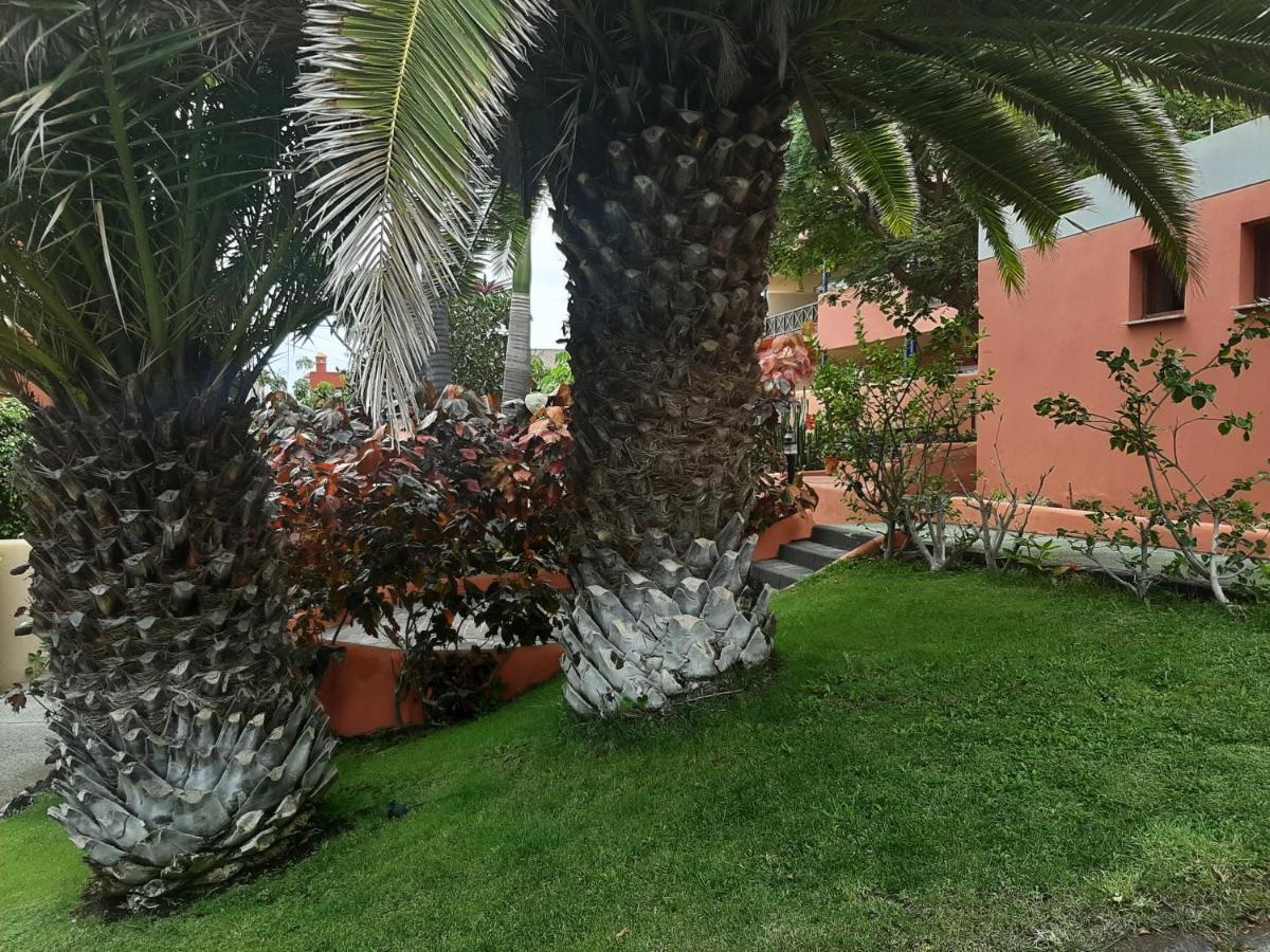 Aparthotel El Cerrito Playa Cancajos.- BreNa Baja  Екстериор снимка